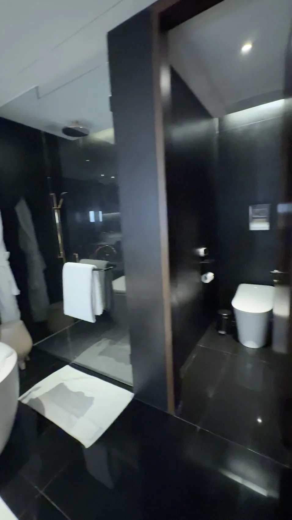 Park Suite King (current visit): separate bathroom spaces, and two toilets!